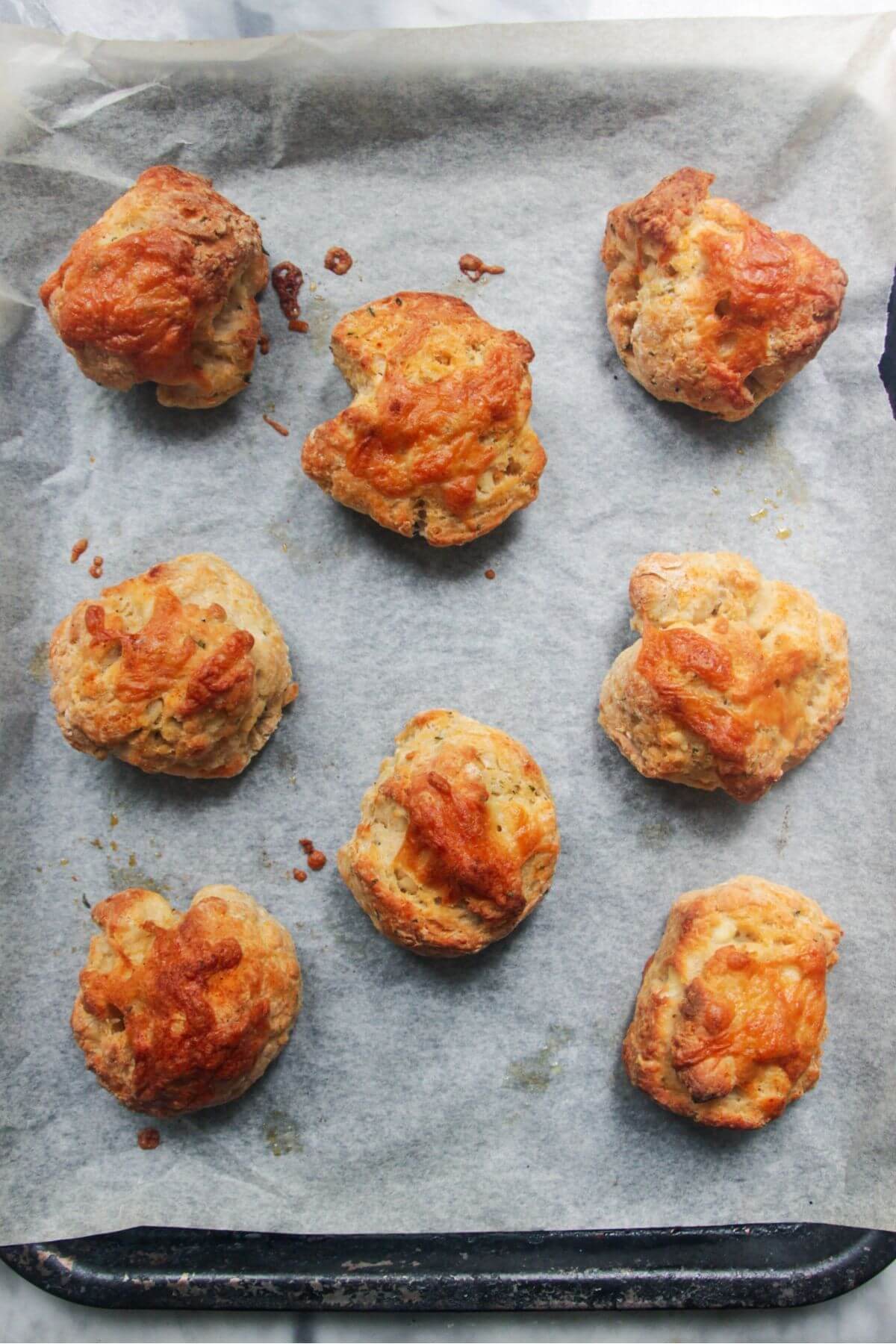 8 baked cheese scones on a baking paper lined oven tray.