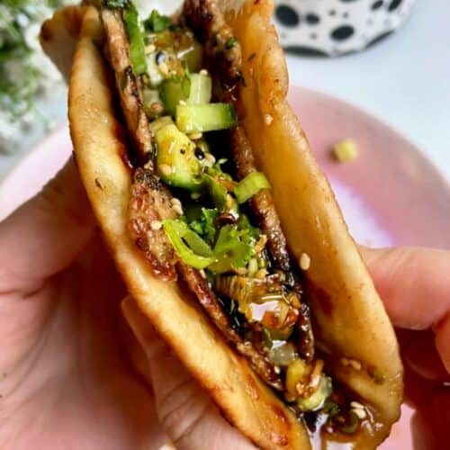 Holding dumpling taco.