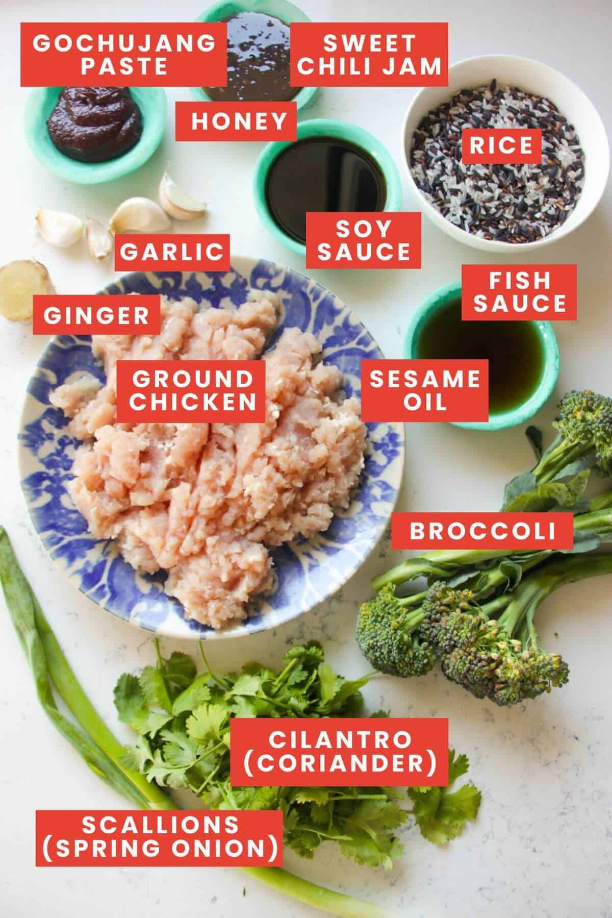 Ingredients for Asian gochujang meatballs laid out and labelled.