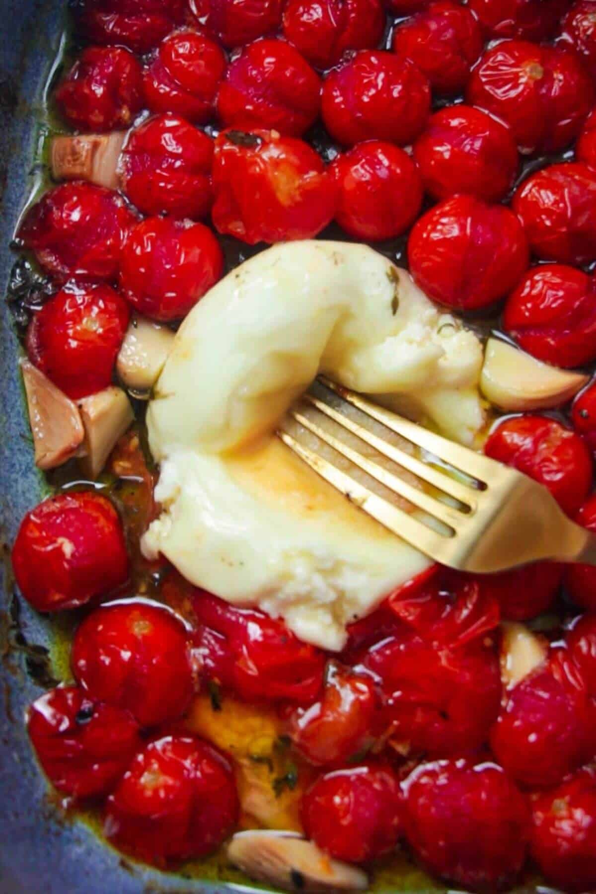Fork squashing baked burrata down into roasted tomatoes.