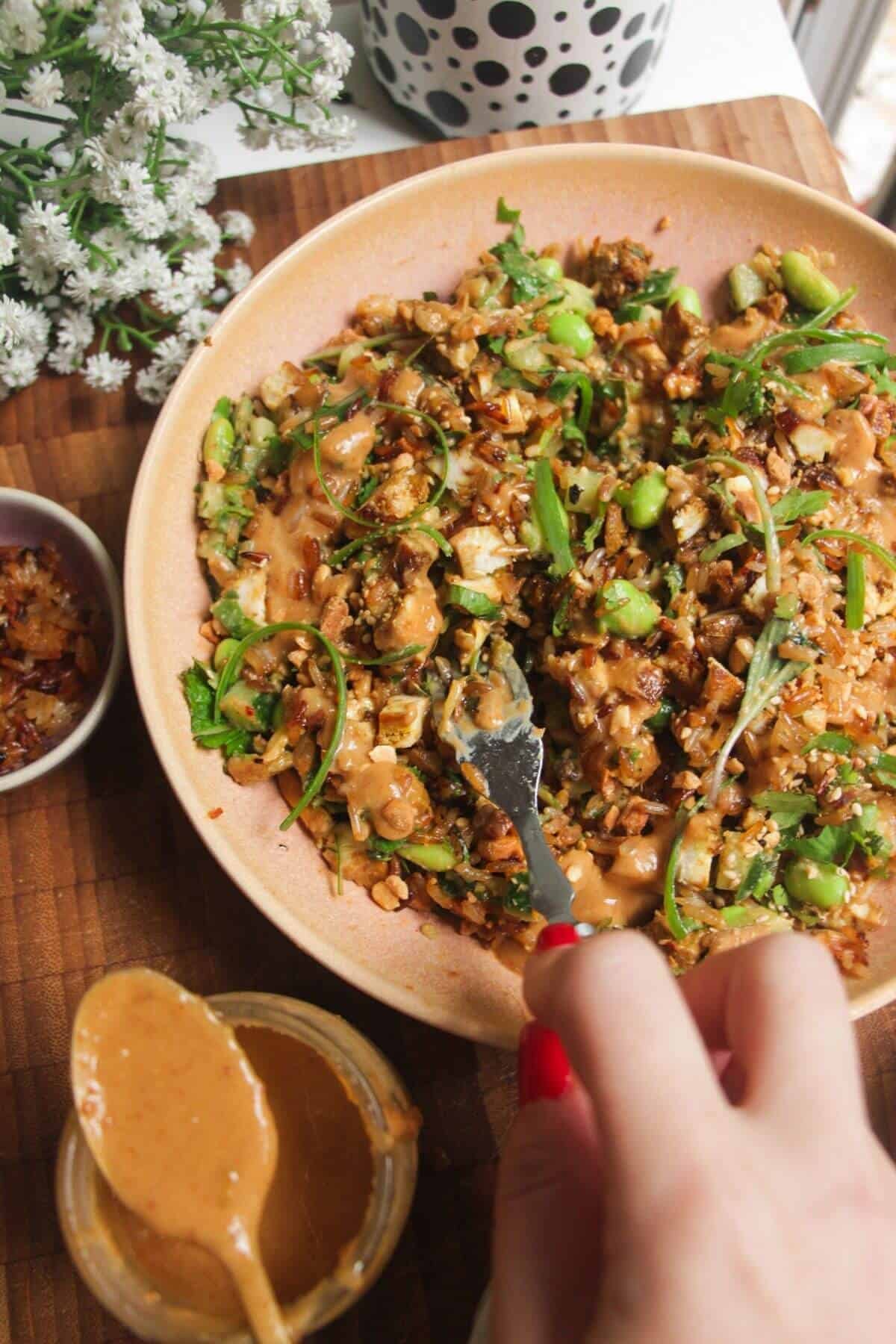Satay crispy rice salad in a pink bowl.