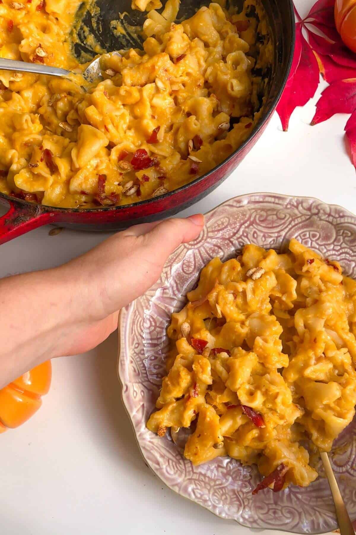 Pink plate of butternut squash mac and cheese with a pan of more mac and cheese in the background.