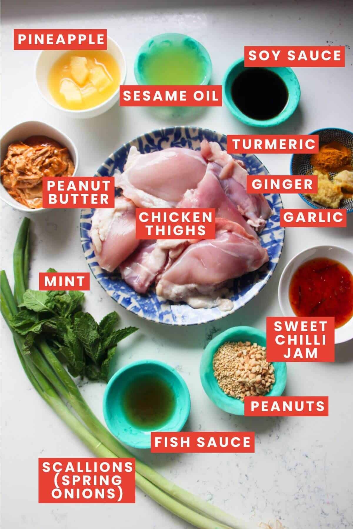 Ingredients for charred peanut chicken laid out and labelled.