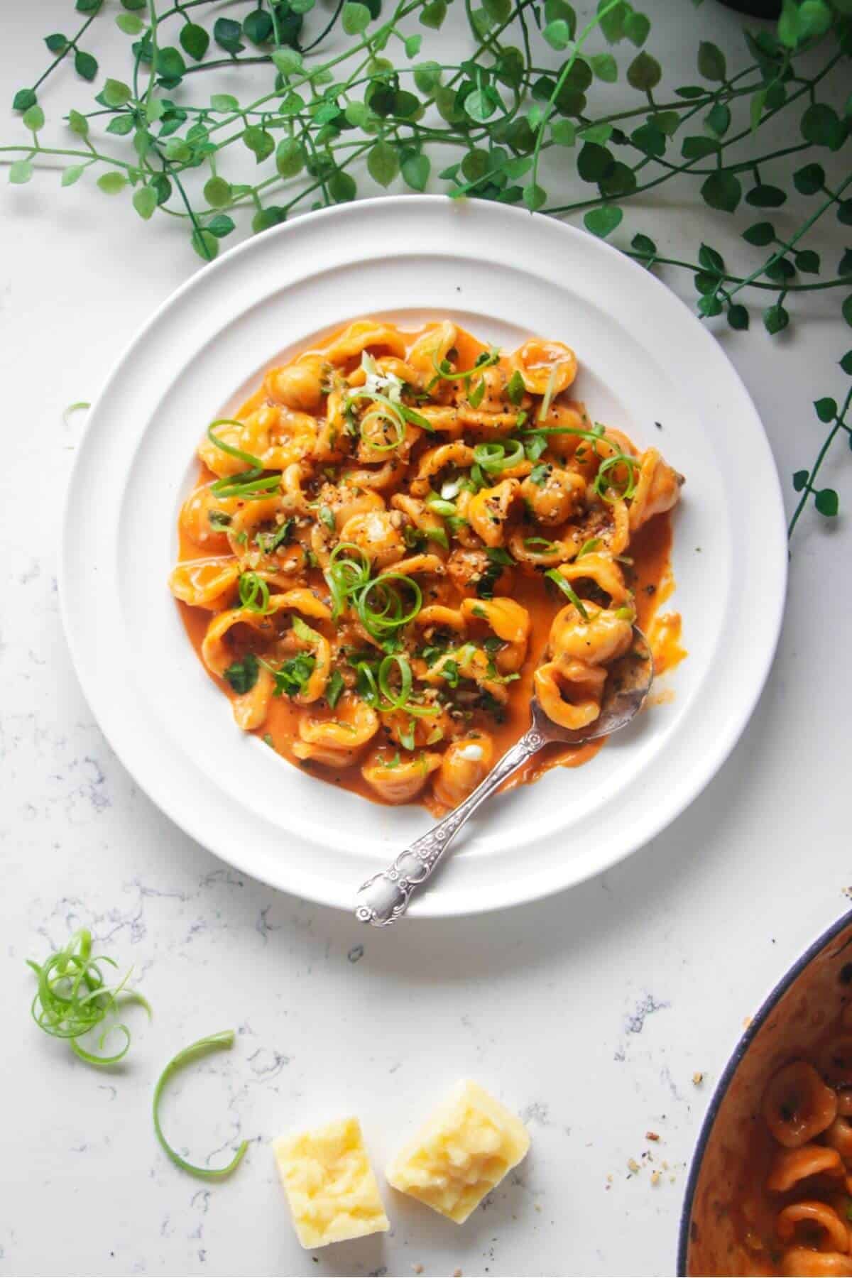 Creamy gochujang pasta topped with green coriander & spring onions on a white plate with a sliver spoon.