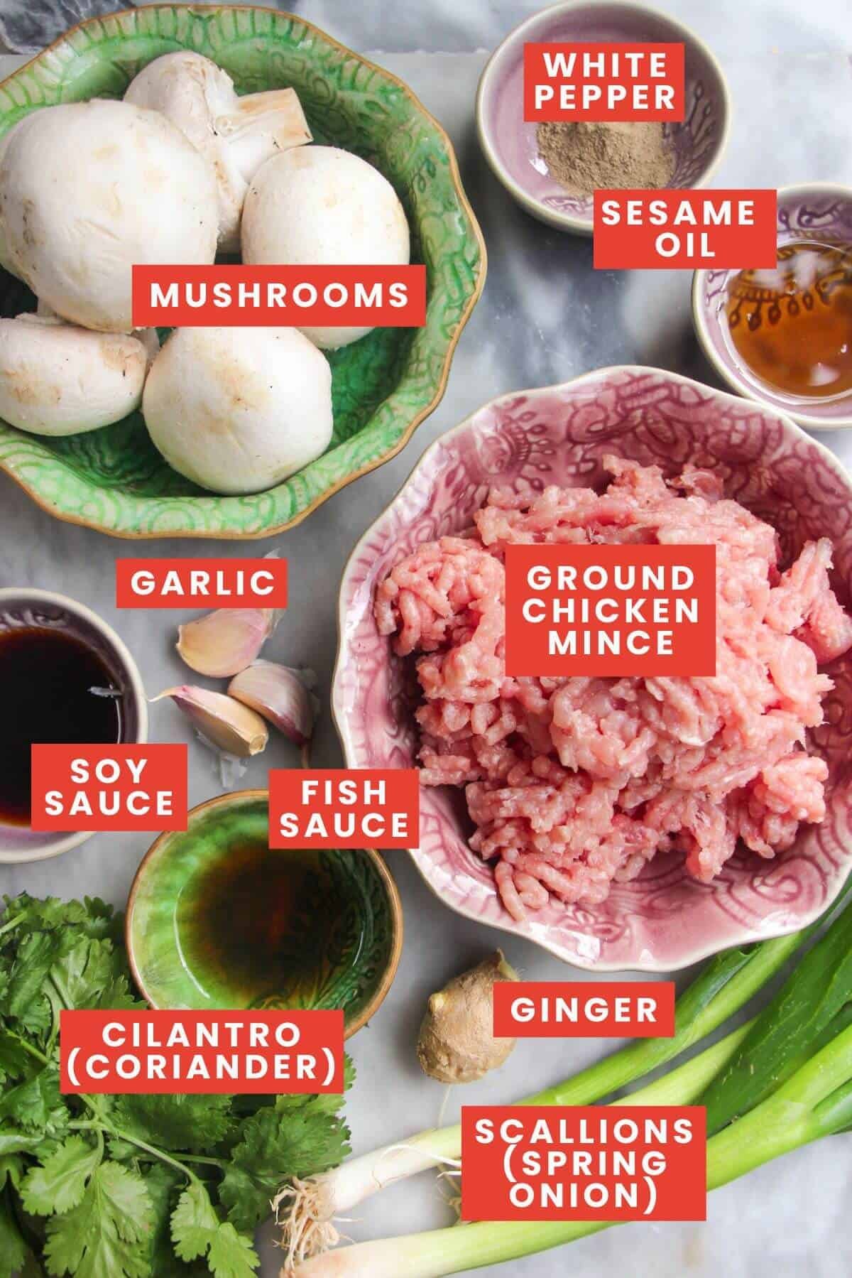 Ingredients for chicken potstickers laid out and labelled.