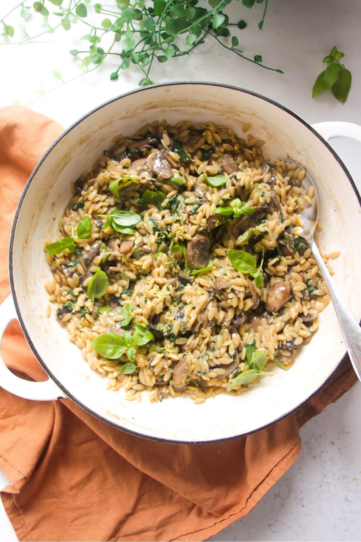 One Pot Mushroom Orzo