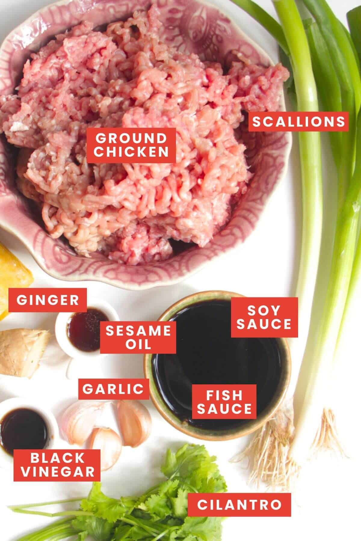 Ingredients for dumpling burgers laid out and labelled.