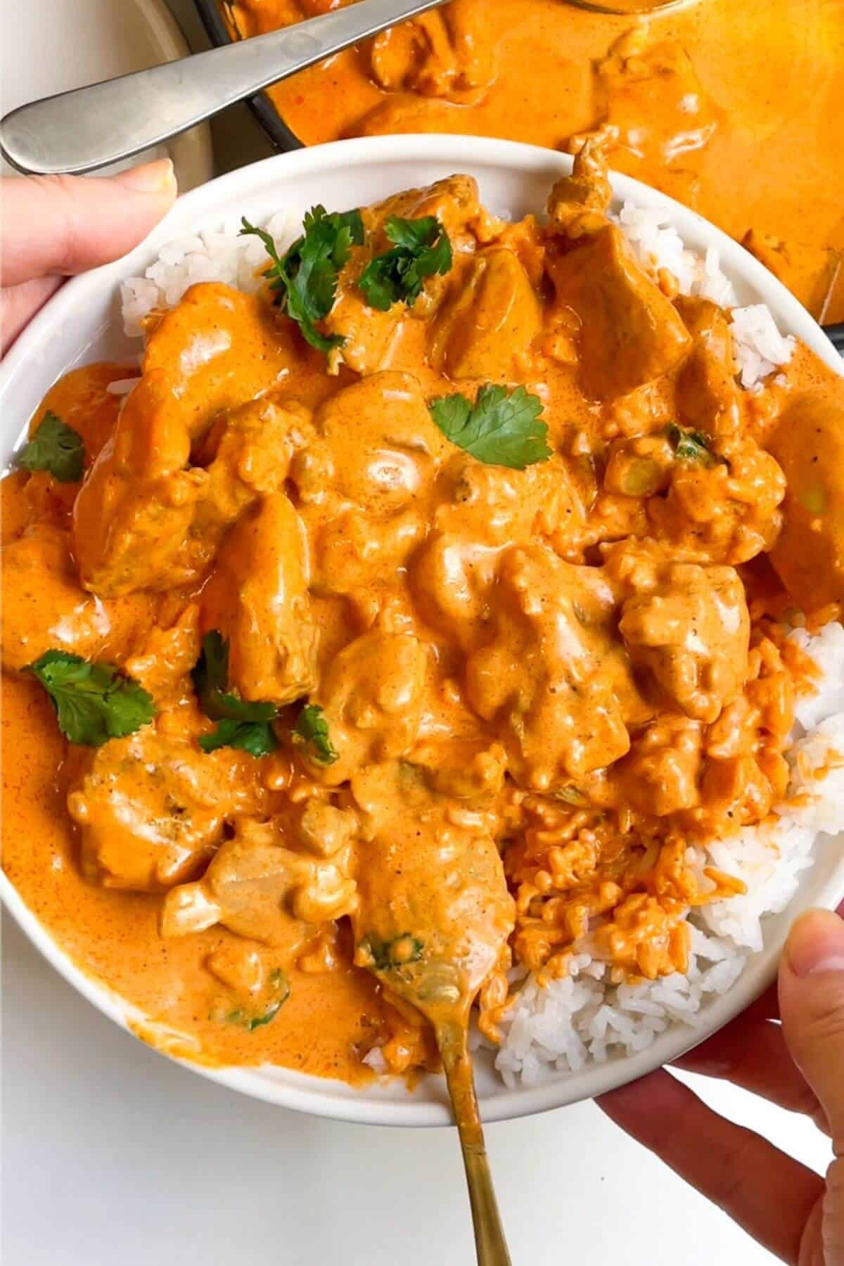 Butter chicken and rice on a plate, with more butter chicken in the background.