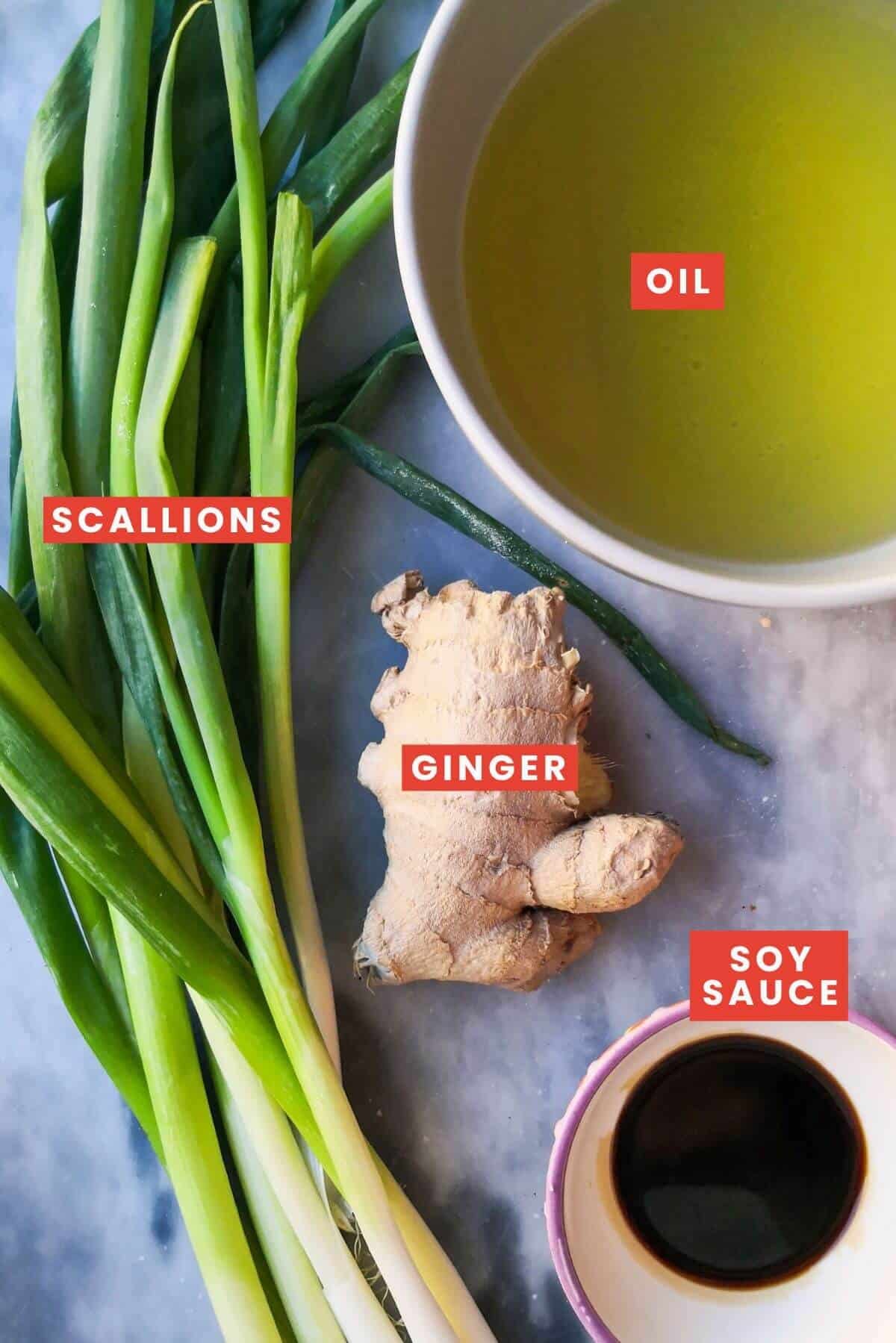 Ingredients for ginger scallion sauce laid out on a grey marble background and labelled.