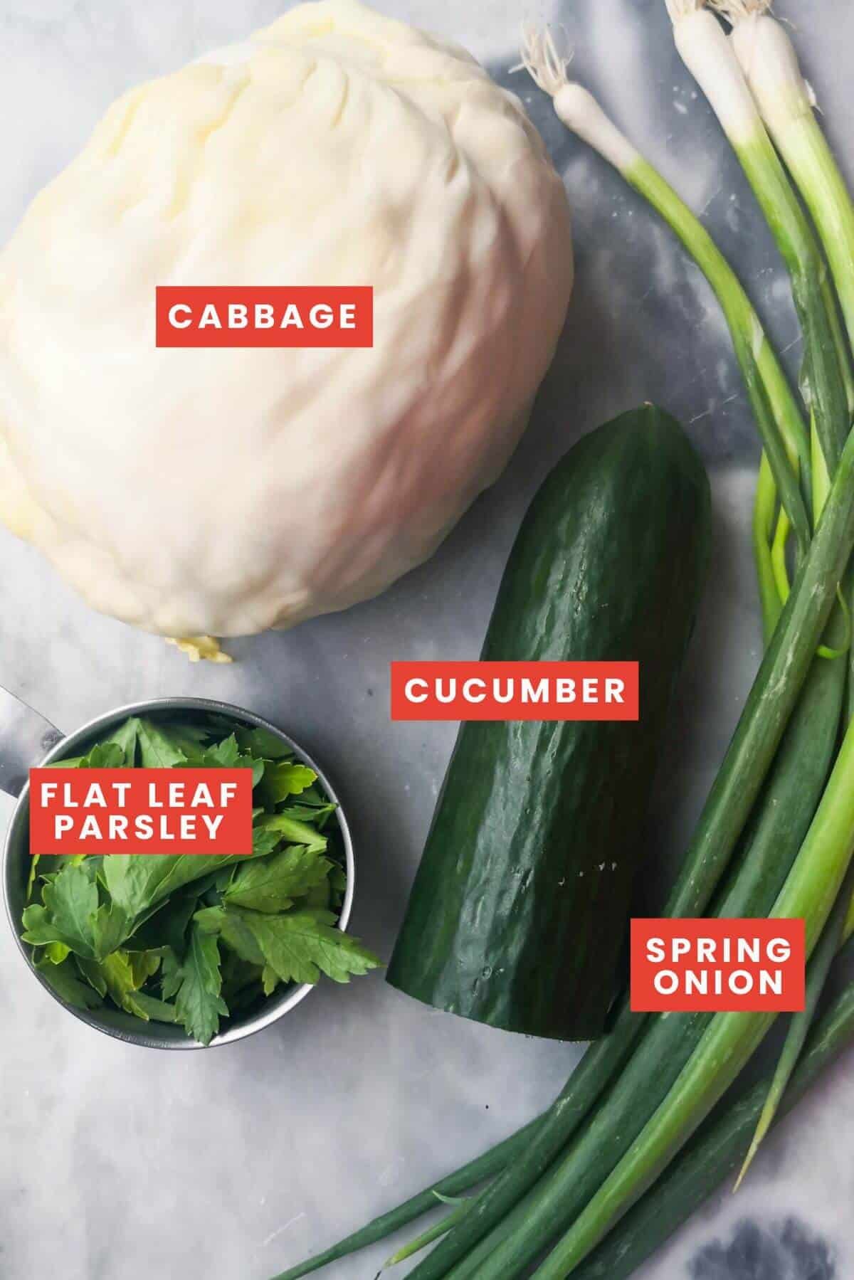 White cabbage, cucumber, parsley and spring onion on a grey marble background.