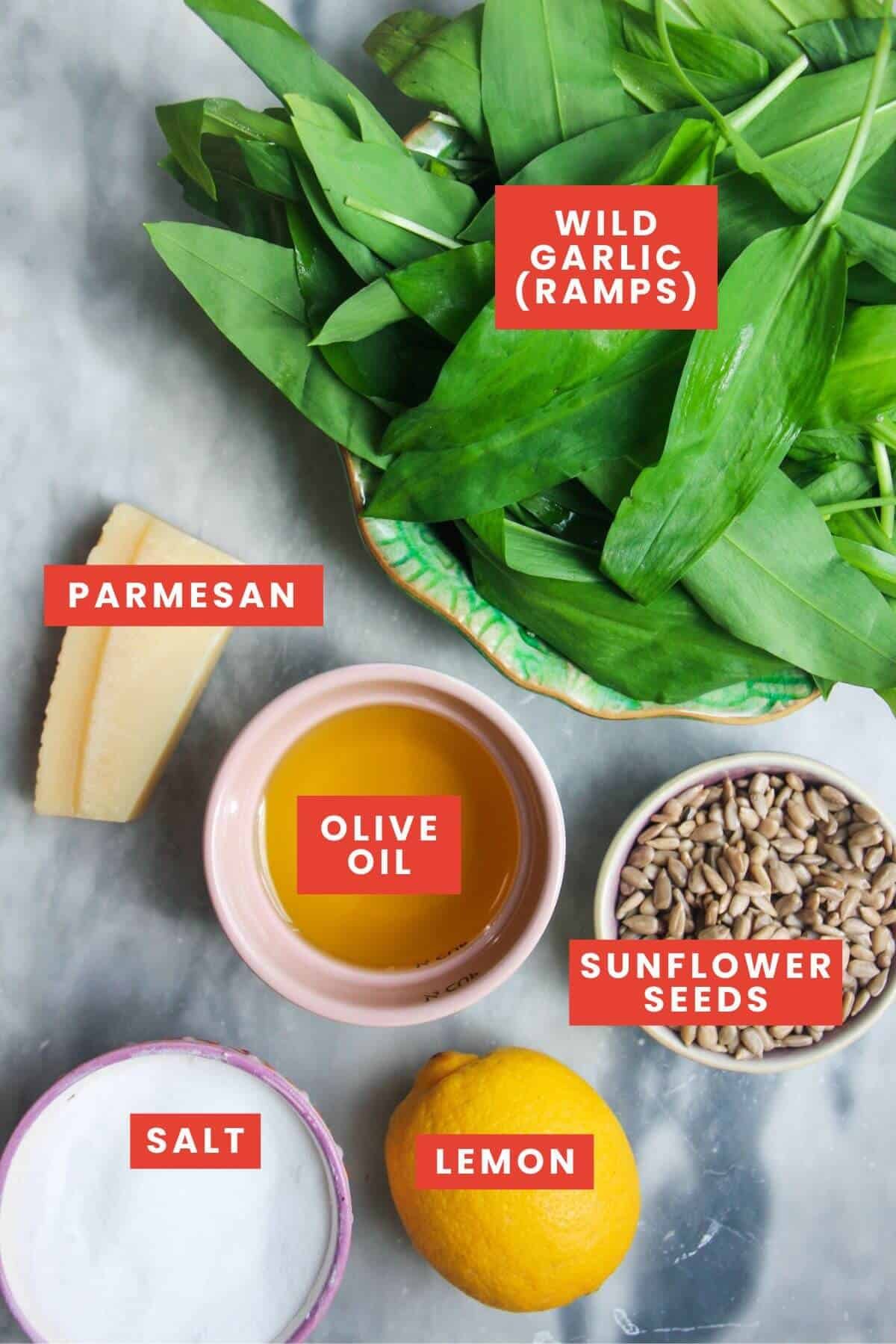 Ingredients for wild garlic pesto laid out on a grey marble background and labelled.