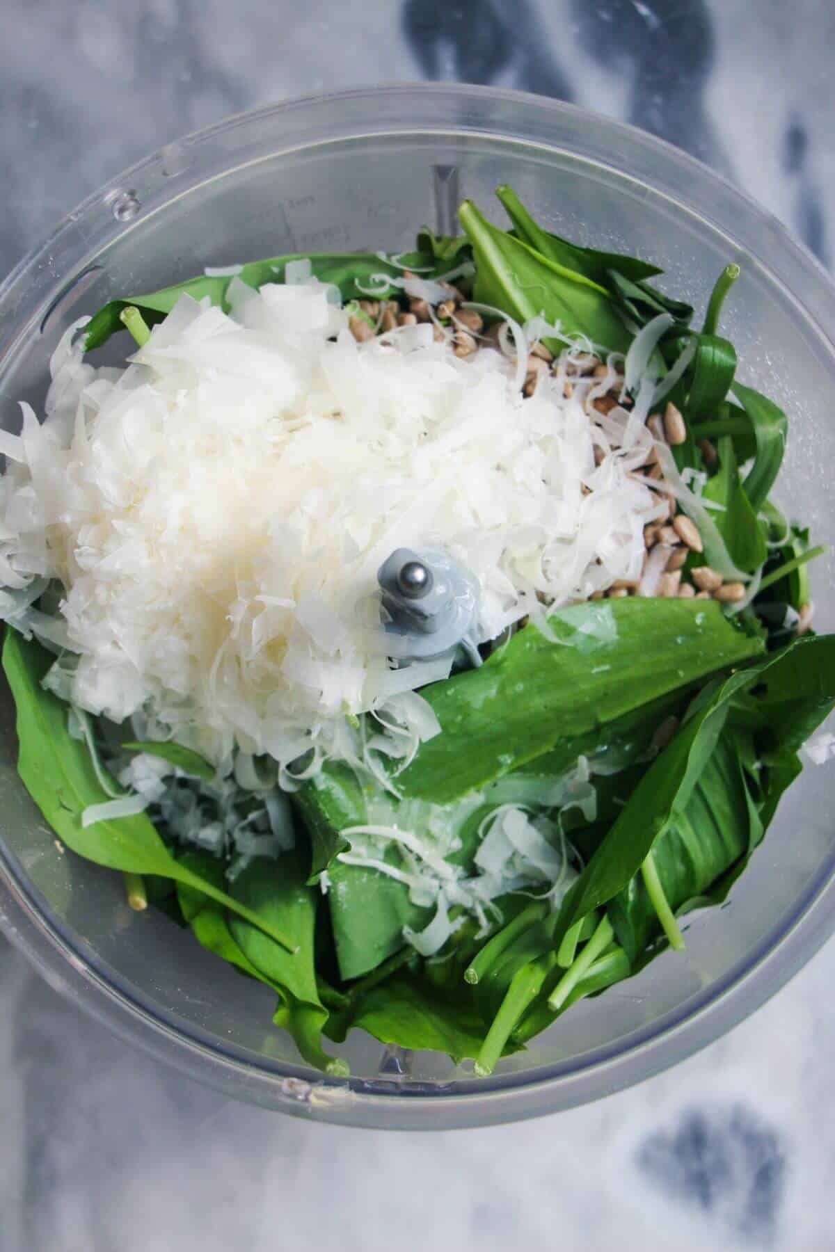 Wild garlic leaves, grated parmesan, sunflower seeds in the bowl of a food processor.