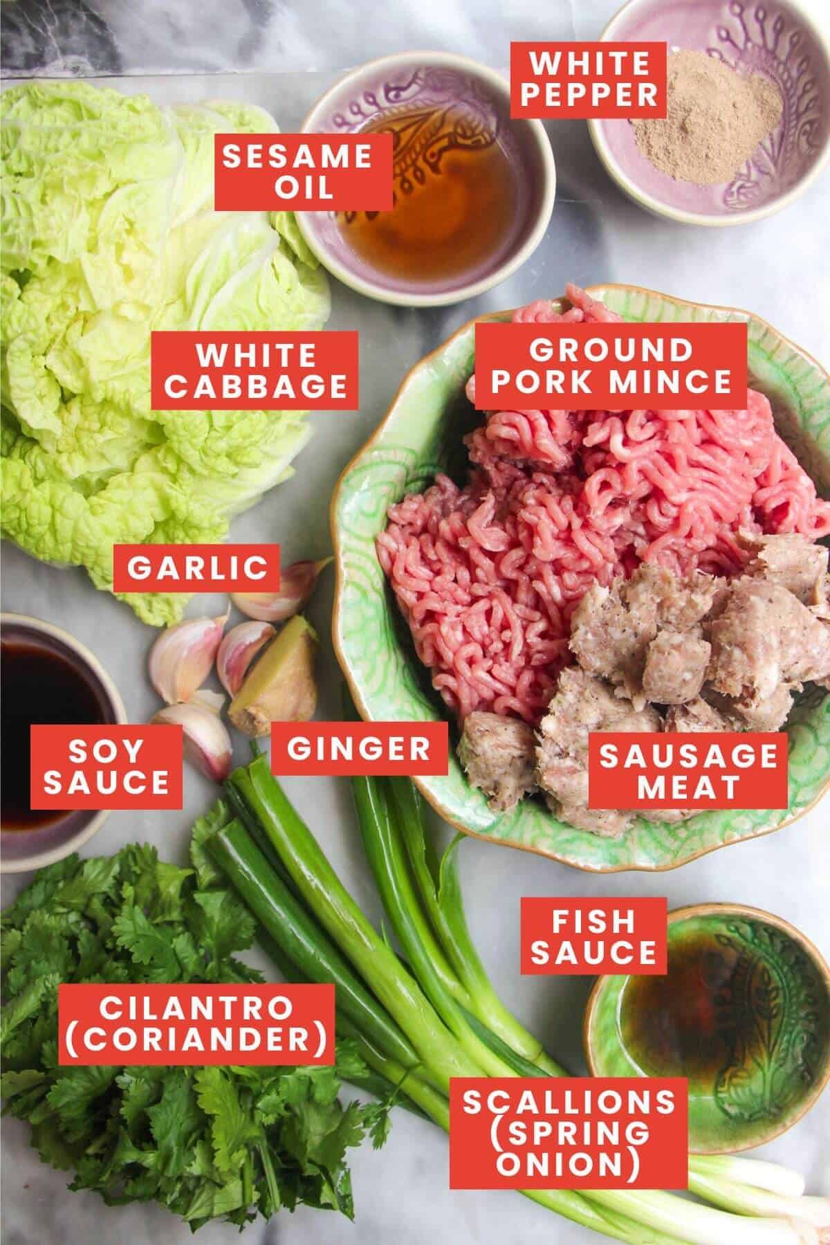 Pork dumplings ingredients laid out and labelled.