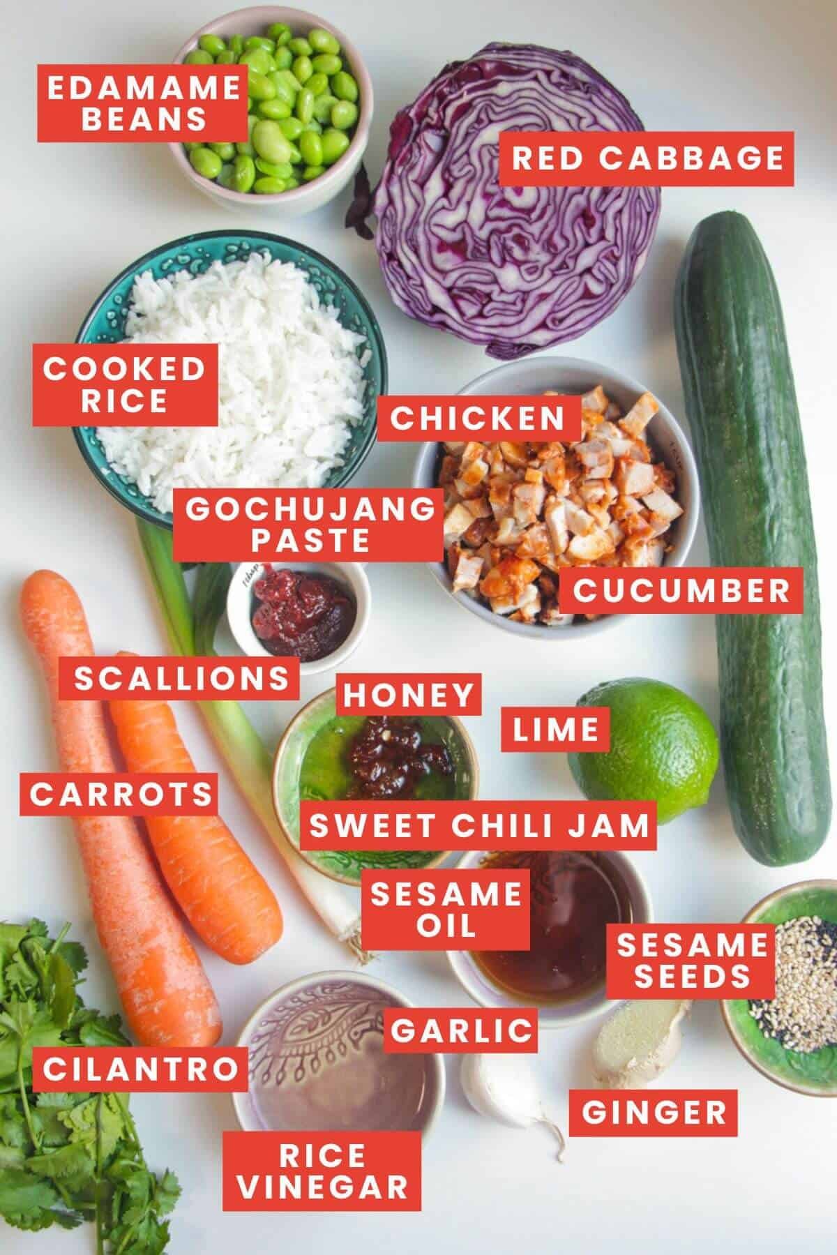 Ingredients for Korean grilled chicken rice salad laid out and labelled.