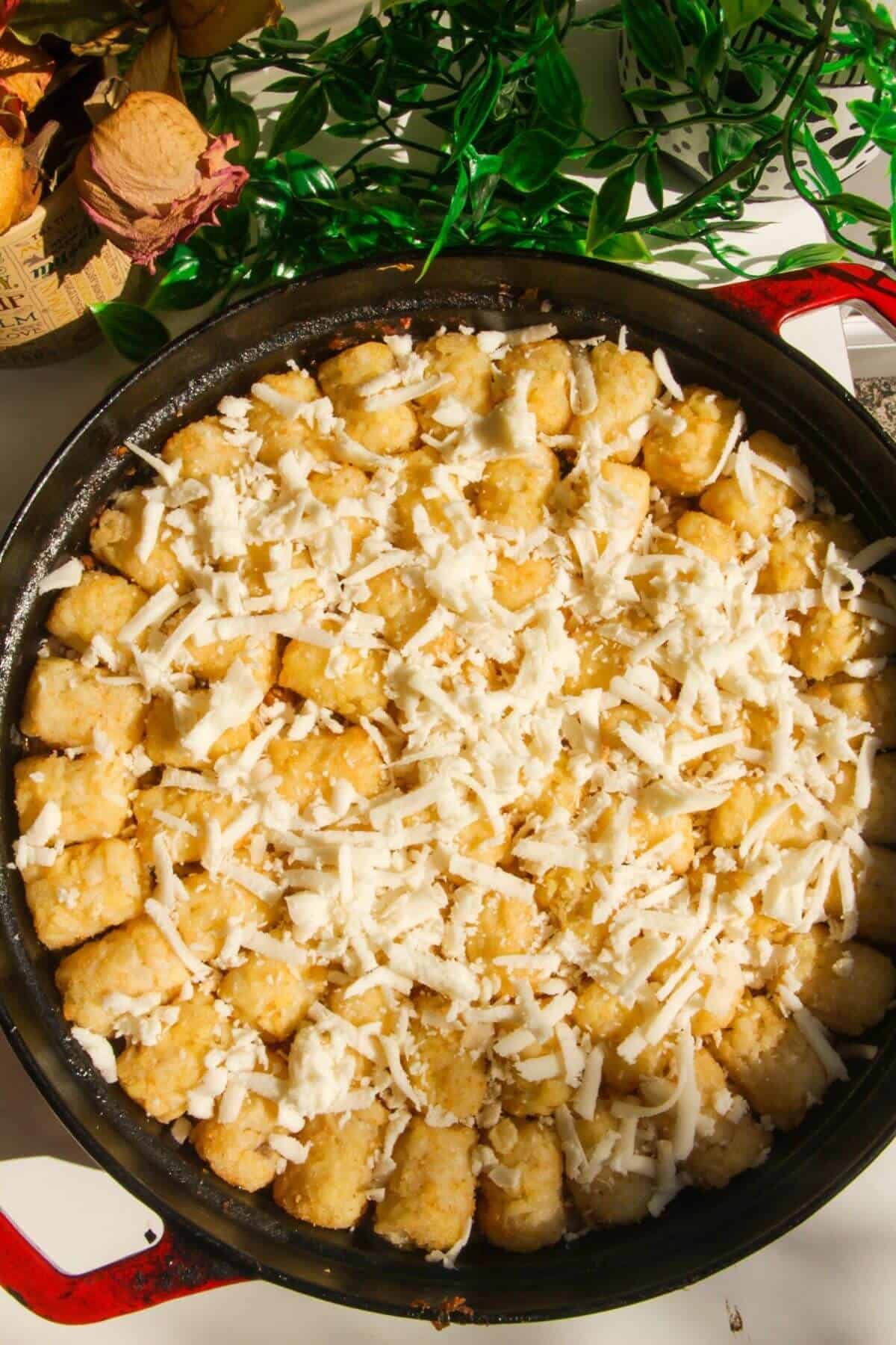 Shredded cheese scattered on top of tater tots in a large pan.