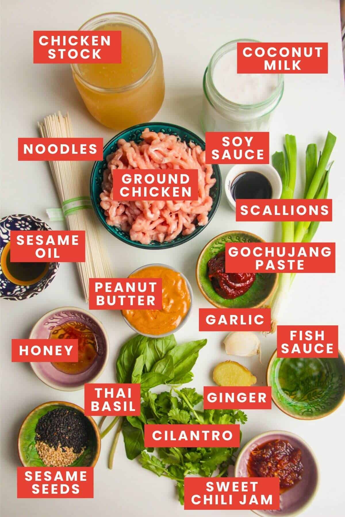 Ingredients for peanut butter noodles laid out and labelled.