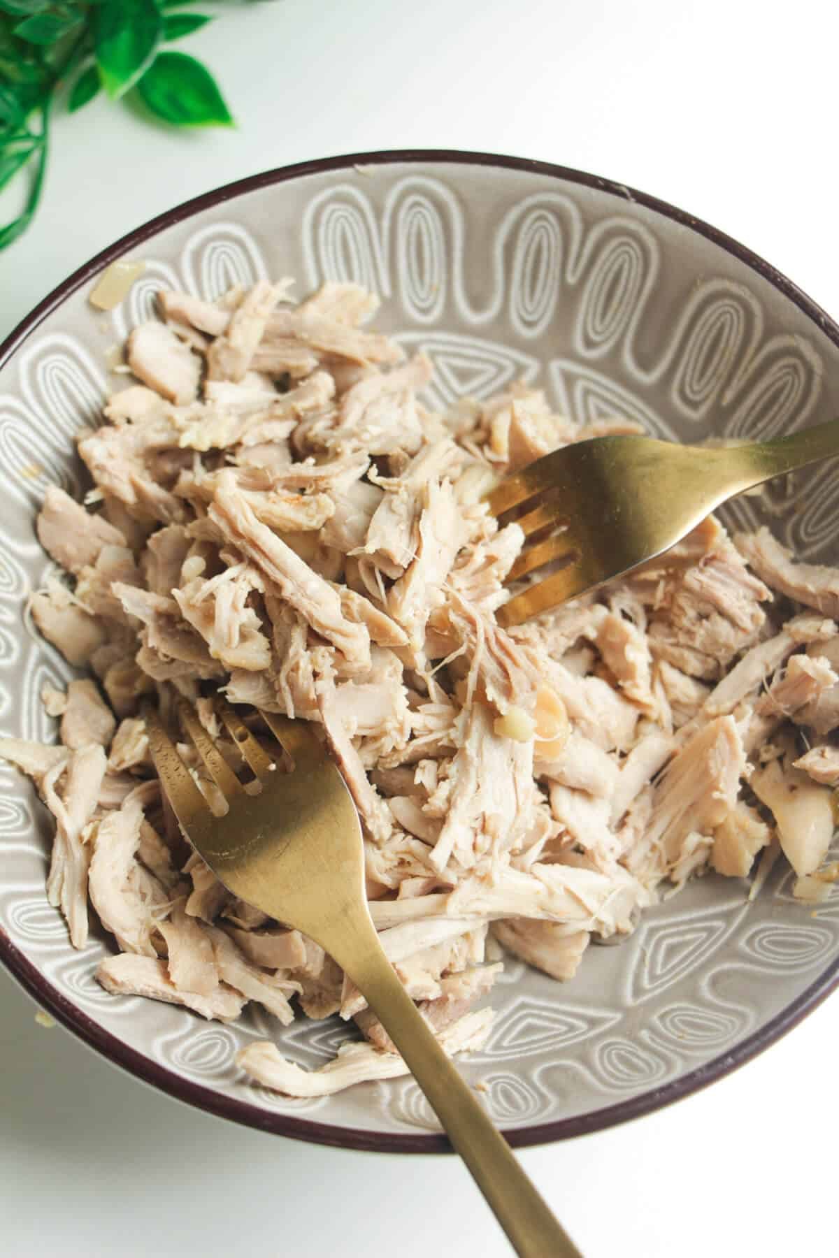 Chicken shredded in a bowl.