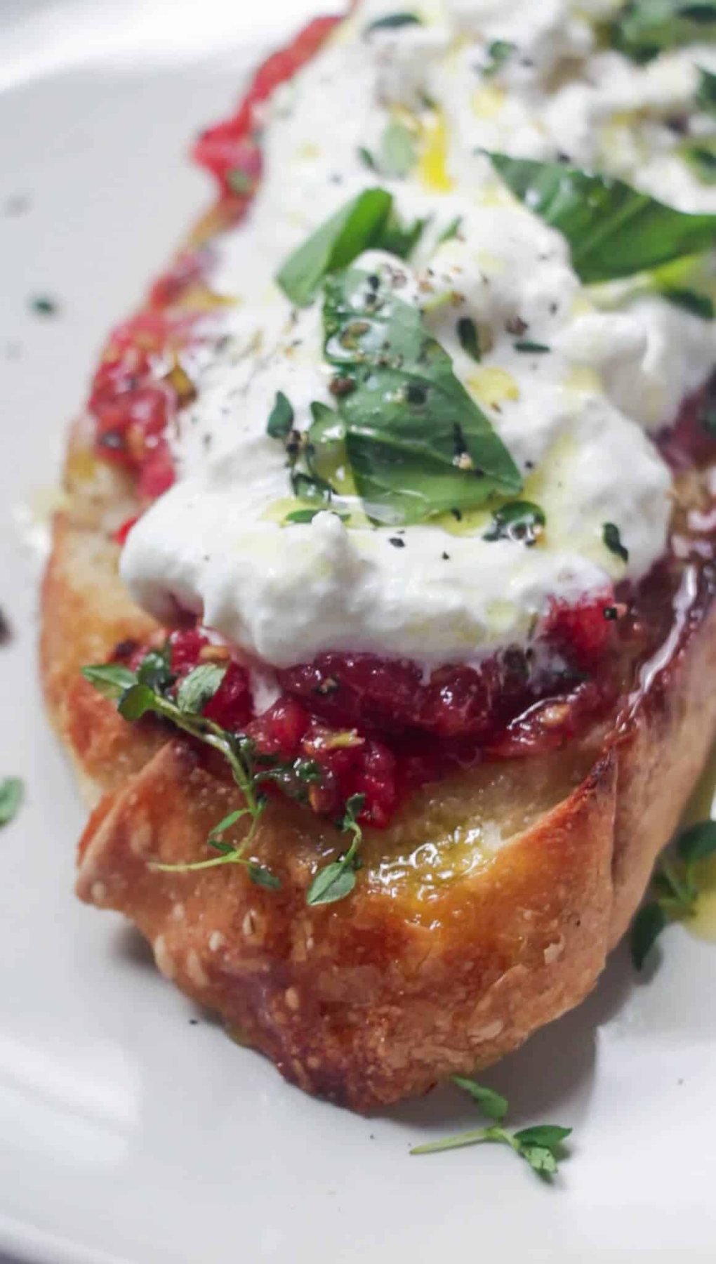 Close up of pan con tomate with burrata on toast with basil and thyme leaves on top.
