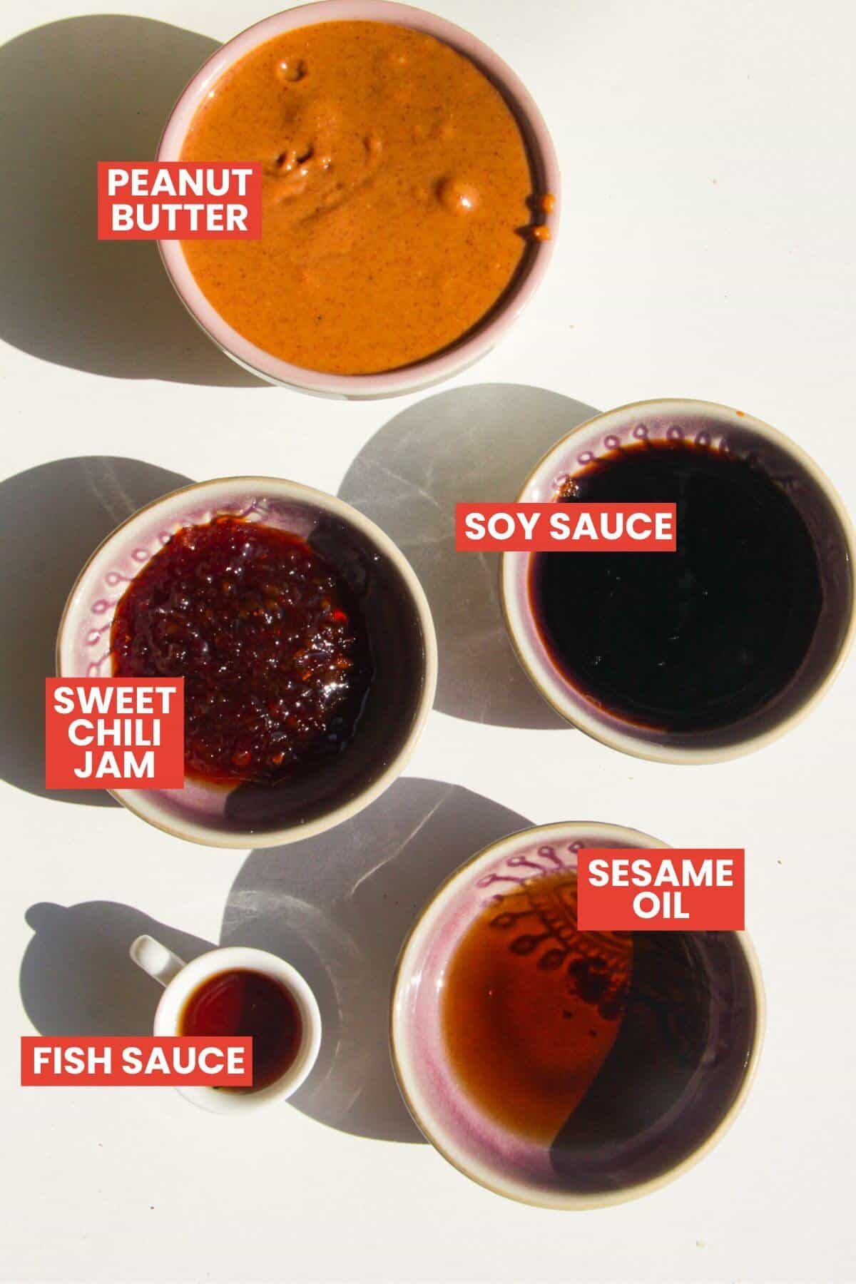Ingredients for peanut satay peanut sauce laid out and labelled.