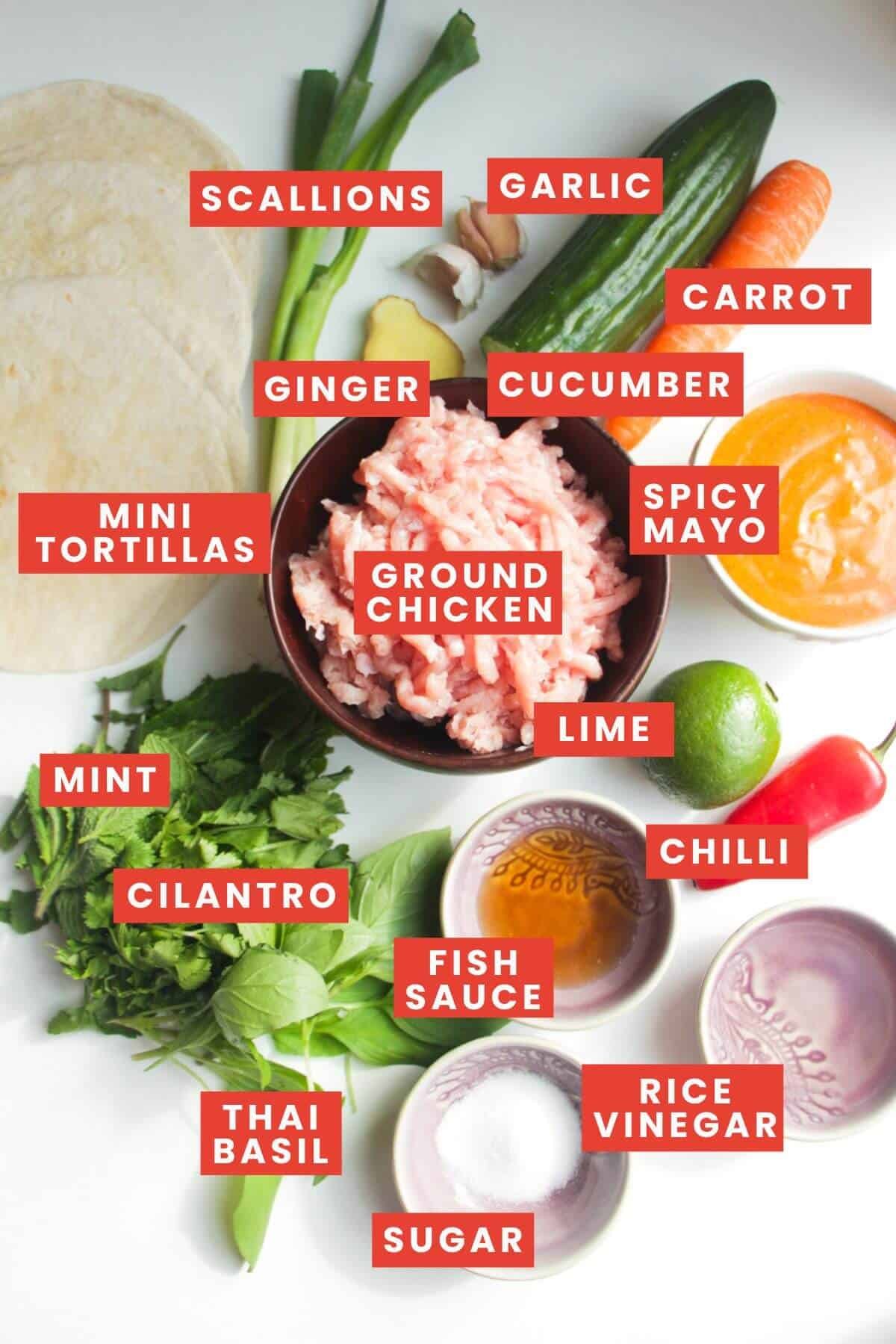 Ingredients for banh mi tacos laid out and labelled.