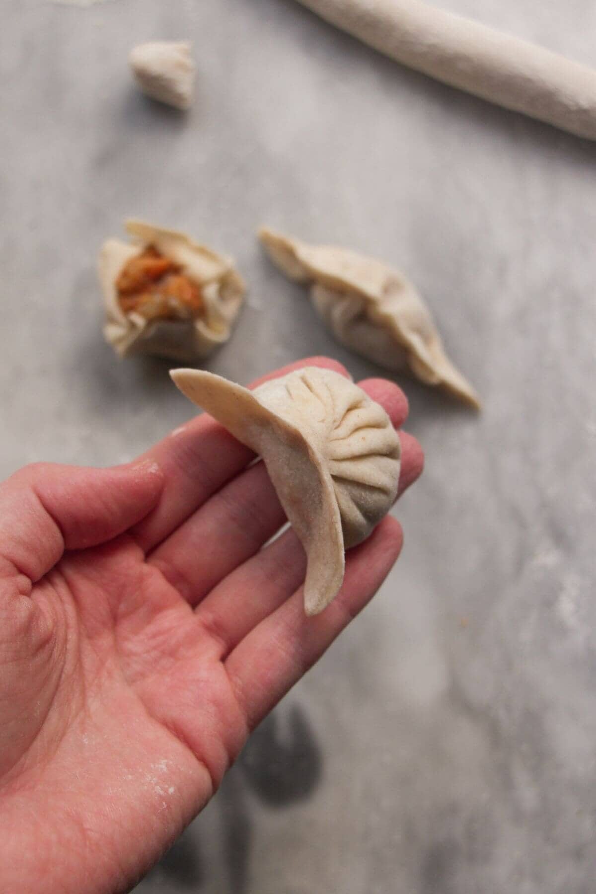 Hand holding folded dumpling.