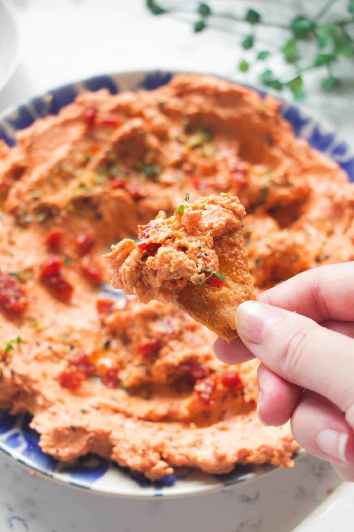 Hand holding a pita chip with sundried tomato feta dip on it.
