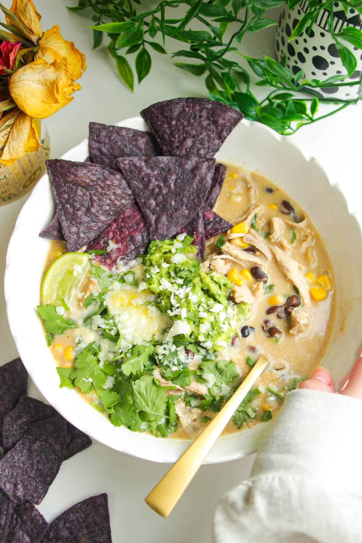 White chicken chili in a white bowl, topped with avocado, cheese and tortilla chips.