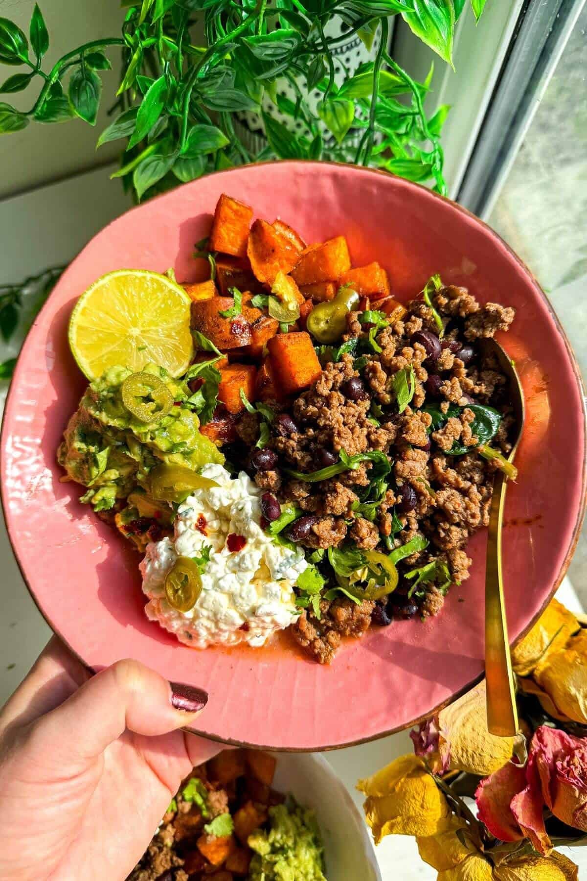 Holding viral cottage cheese beef bowl.