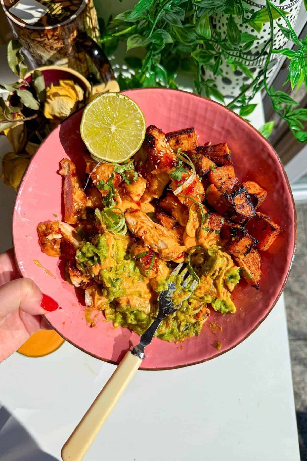 Chicken, sweet potato, whipped cottage cheese and avocado in a pink bowl.