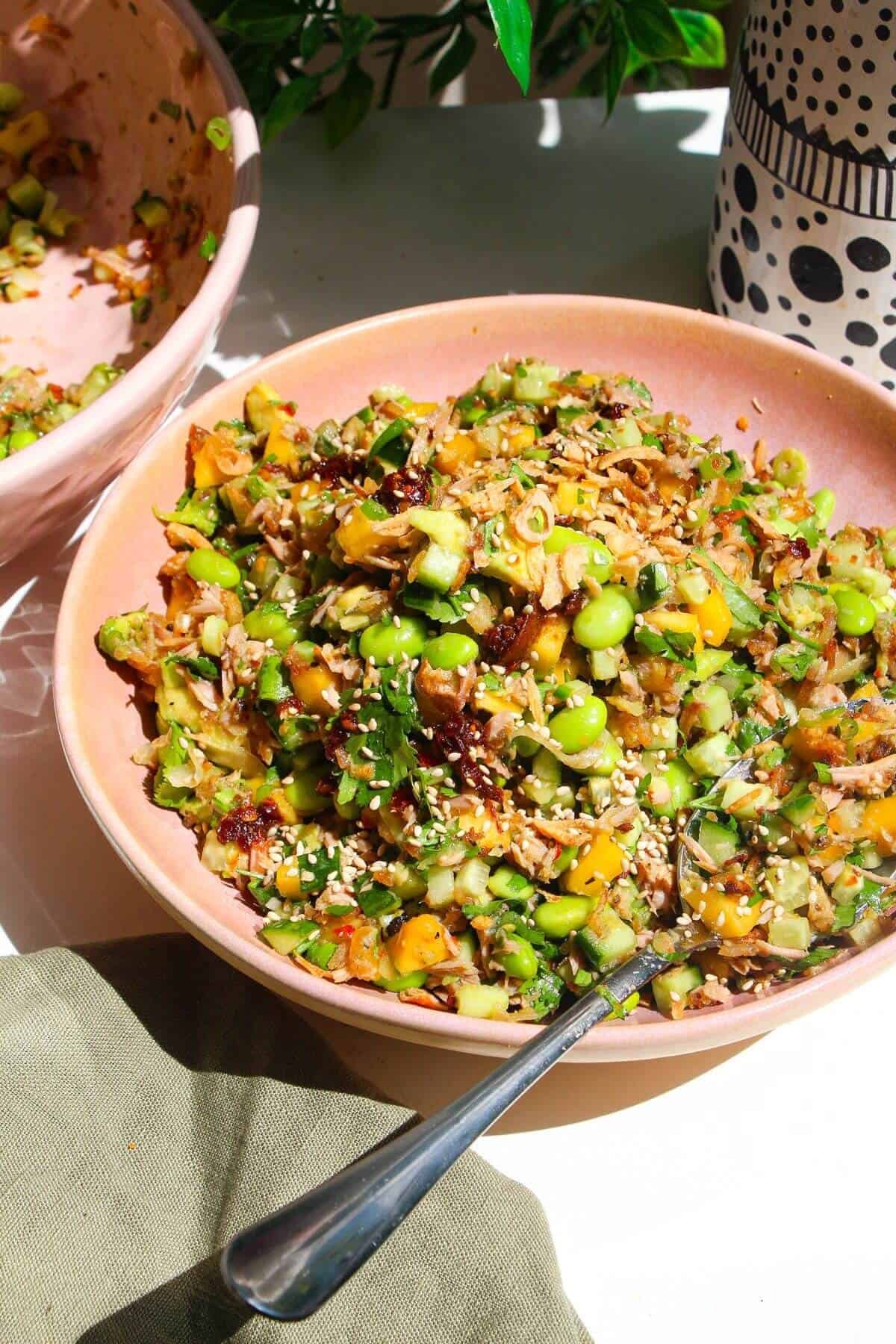A plate of tuna crispy rice salad.