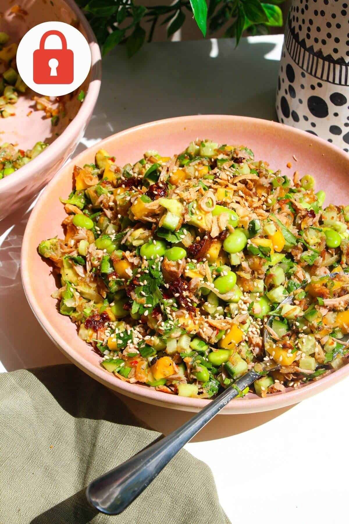 A plate of tuna crispy rice salad.
