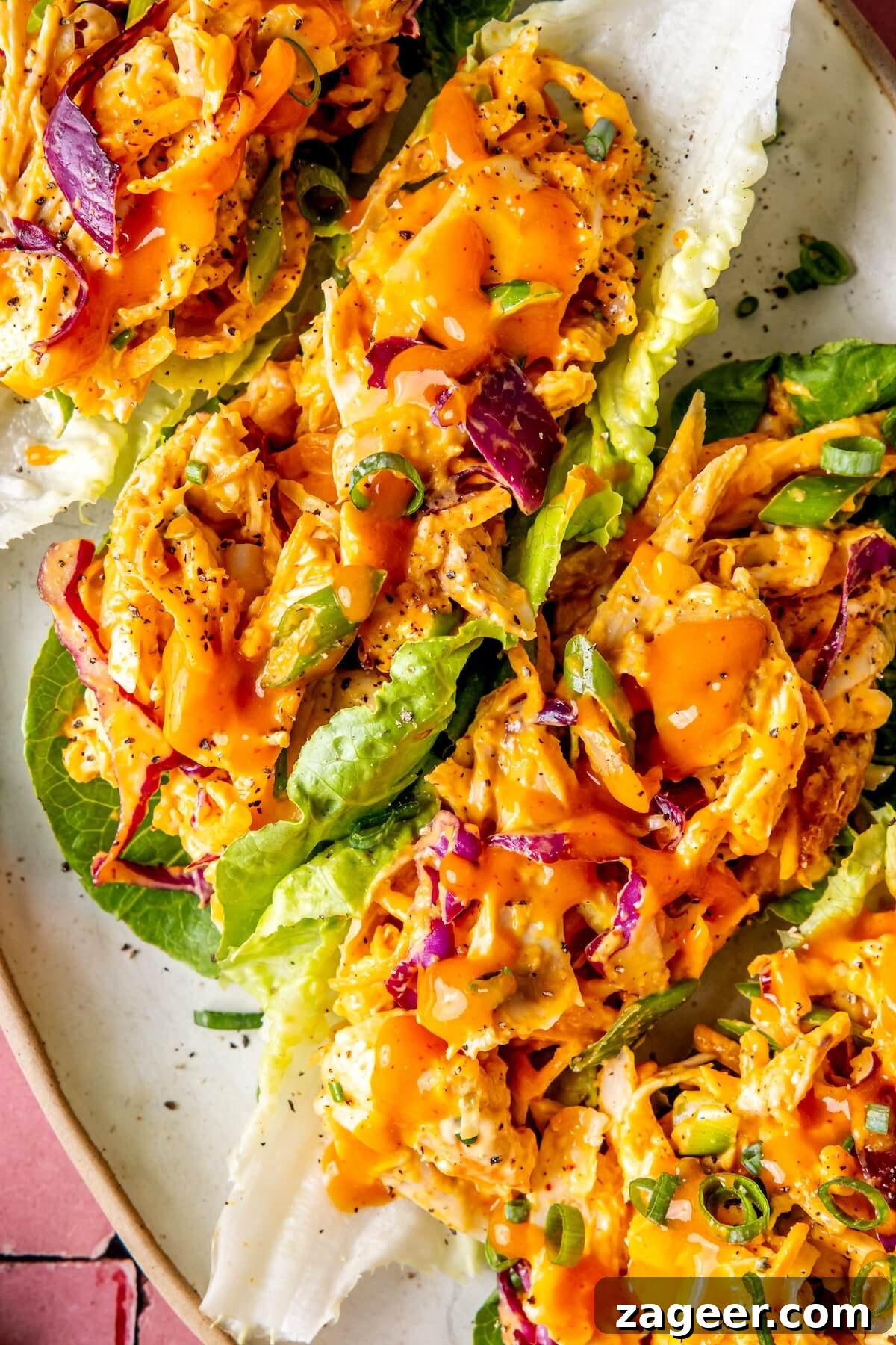 Buffalo Kick Pulled Chicken Salad 6 Close-up of Buffalo Pulled Chicken Salad - Olivia Adriance