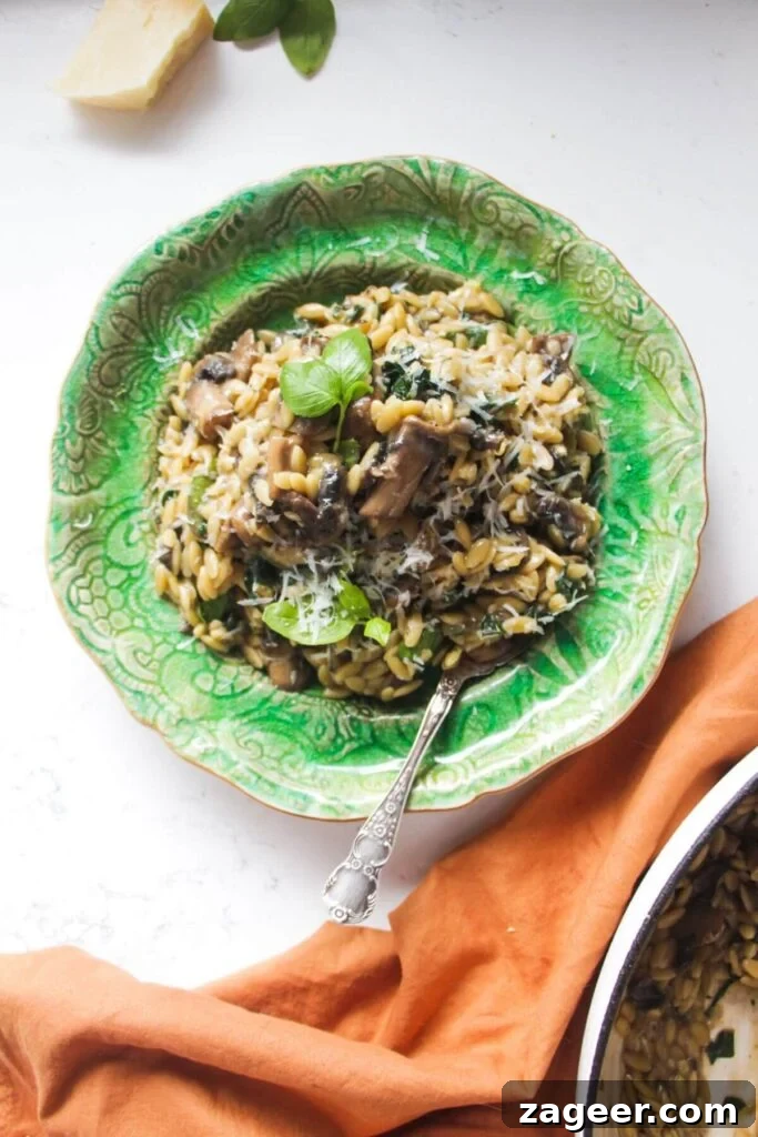 Velvety One-Pot Mushroom Orzo 11 Mushroom orzo on a small green plate with a small spoon in it.