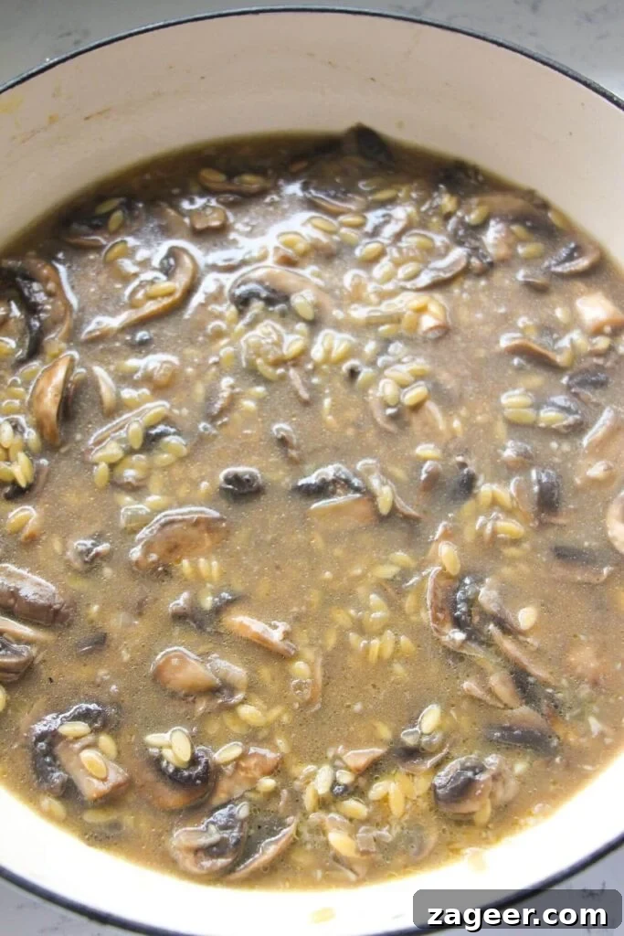 Velvety One-Pot Mushroom Orzo 7 Stock added to mushrooms and orzo in a large white skillet.