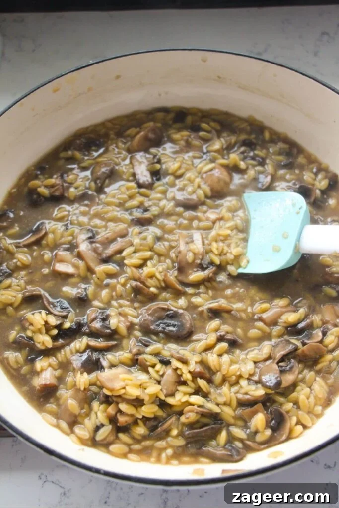 Velvety One-Pot Mushroom Orzo 8 Mushroom orzo being stirred in a large white skillet.