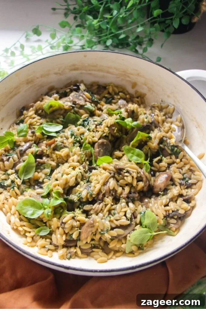 Velvety One-Pot Mushroom Orzo 10 Close up of mushroom orzo in a large white skillet.