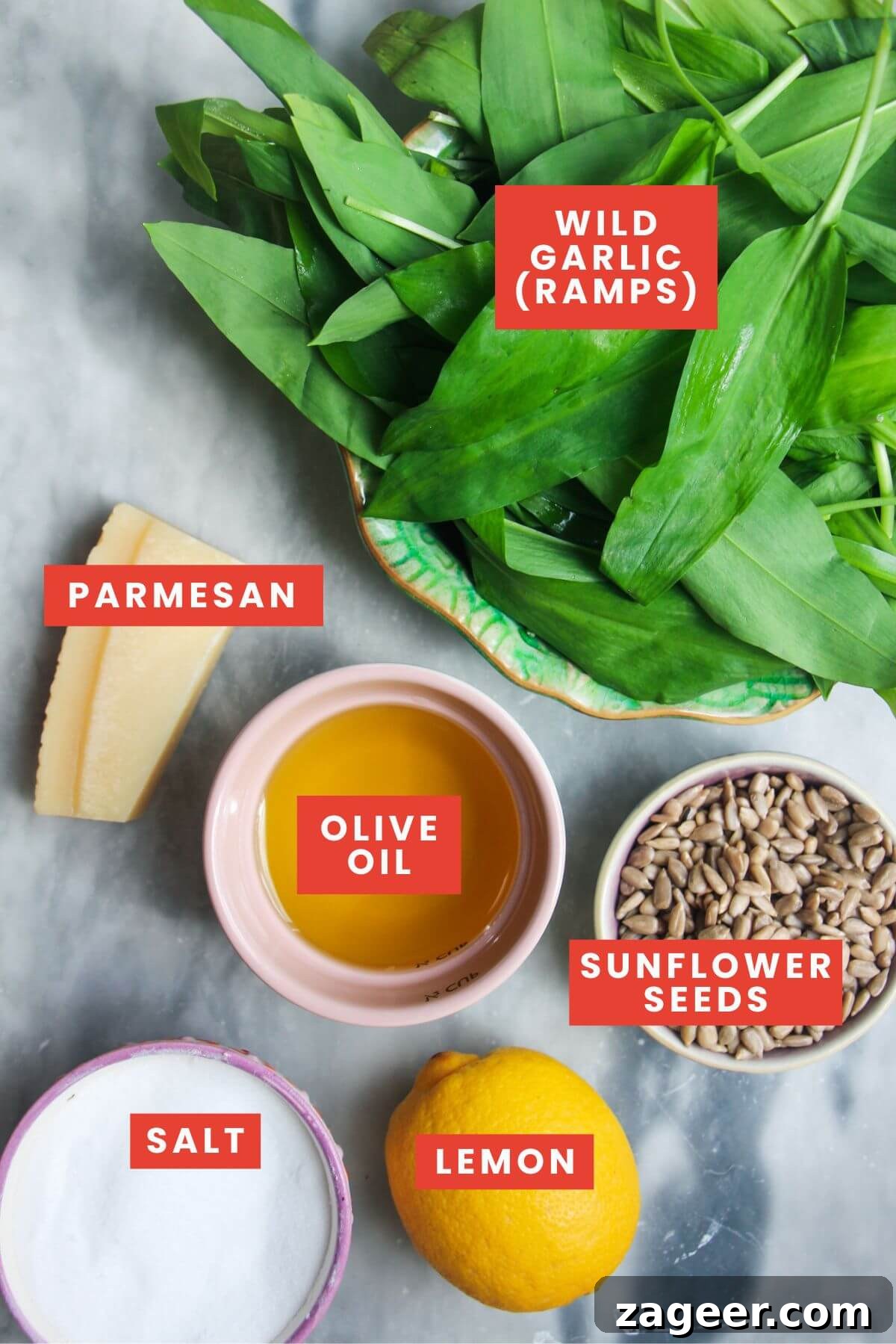 Wild Garlic Pesto in 5 Minutes 3 Ingredients for wild garlic pesto laid out on a grey marble background and labelled.