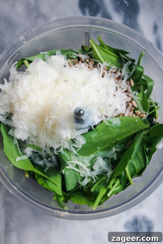 Wild Garlic Pesto in 5 Minutes 4 Wild garlic leaves, grated parmesan, sunflower seeds in the bowl of a food processor.