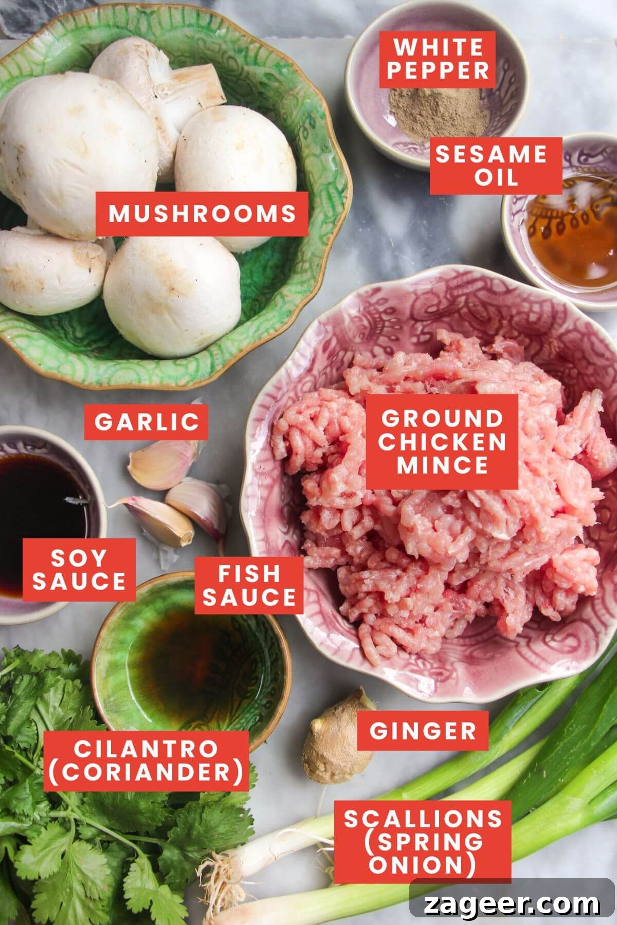 Ingredients for chicken potstickers laid out and labelled.