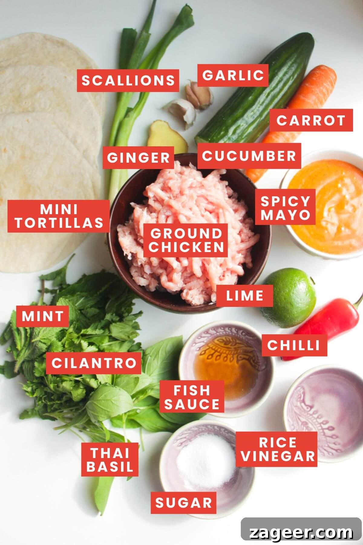 Smashed Banh Mi Tacos 3 A flat lay of all ingredients required to make banh mi tacos, neatly arranged and labeled.