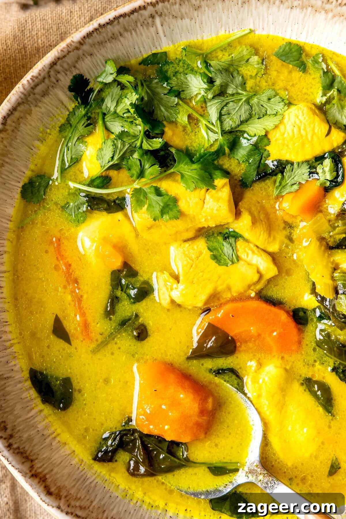 Golden Turmeric Healing Chicken Stew 2 Nourishing Turmeric Chicken Stew - Olivia Adriance
