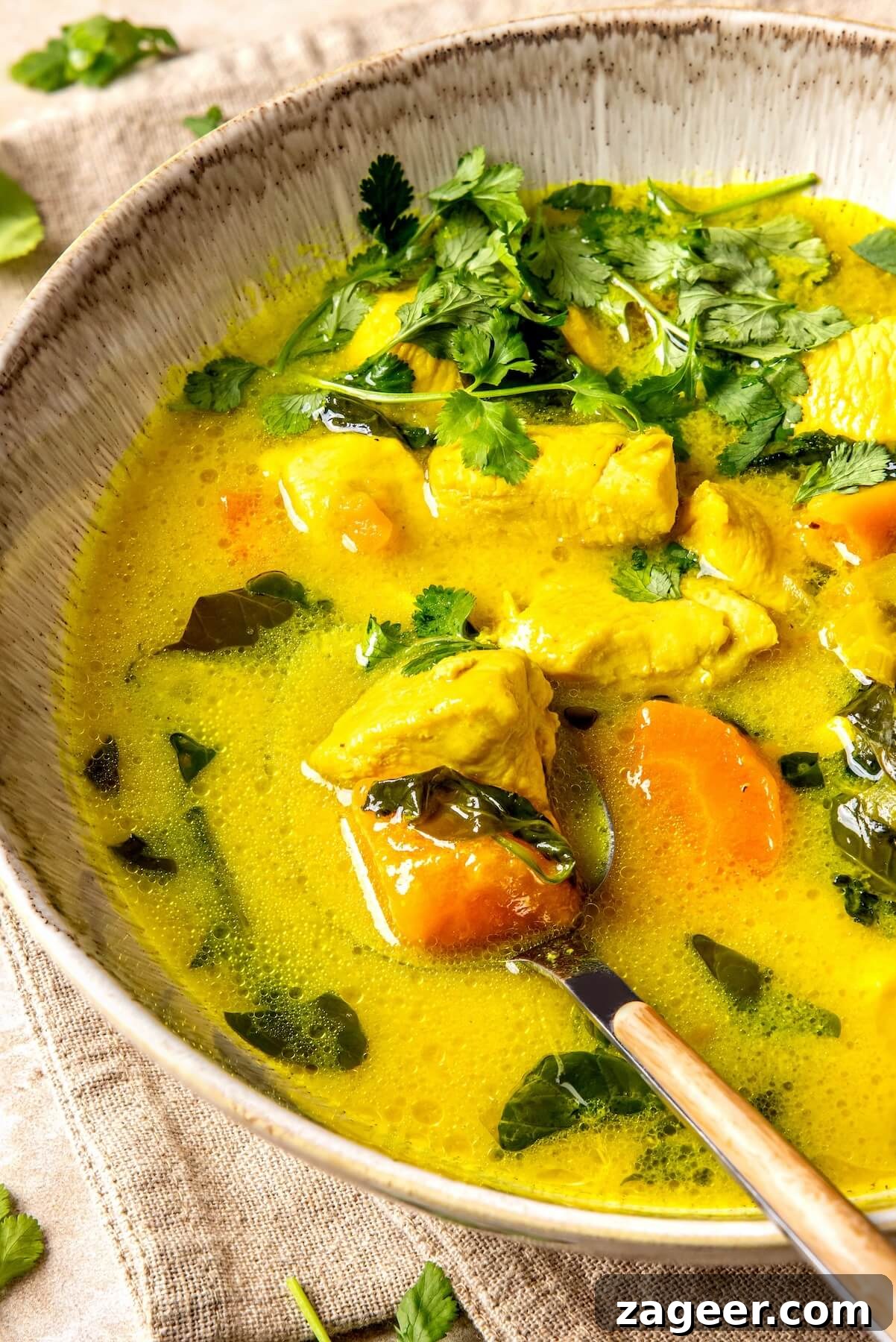 Golden Turmeric Healing Chicken Stew 4 Close-up of Turmeric Chicken Stew with fresh cilantro garnish