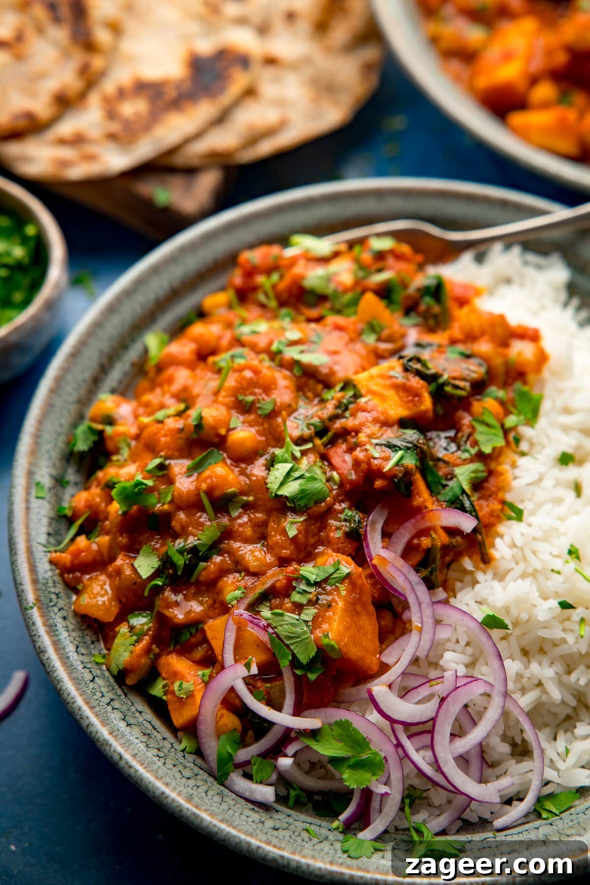 Golden Chickpea Sweet Potato Medley 7 A close-up view of a vibrant bowl of chickpea and sweet potato curry, artfully arranged with fluffy boiled rice, fresh coriander, and thinly sliced red onion.