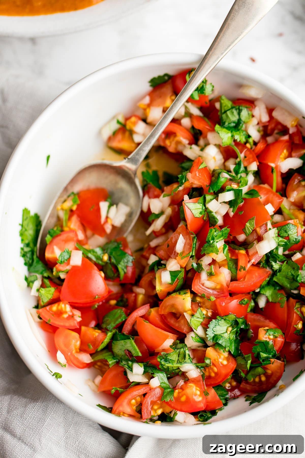 Garden Tomato and Onion Medley 2 A vibrant Indian-style tomato, onion, and coriander chopped salad in a white bowl, ready to serve as a refreshing side dish for curry.