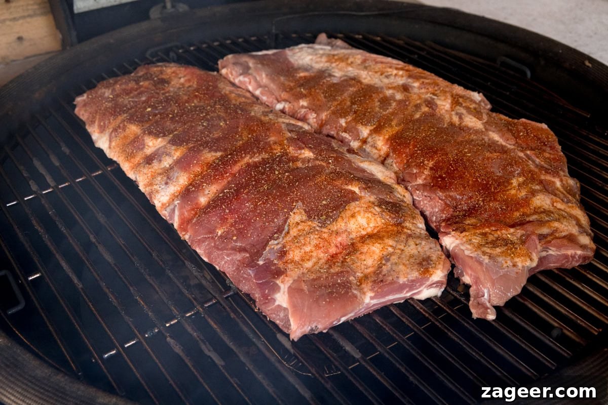 Smoky Dry Rub BBQ Ribs 5 A prep shot of BBQ Dry Rub Ribs. Two racks of seasoned ribs are laid out on a black barbecue, heated to 120 degrees Celsius. The ribs are beginning their smoking process, showing the grill grates and a hint of the cooking environment.