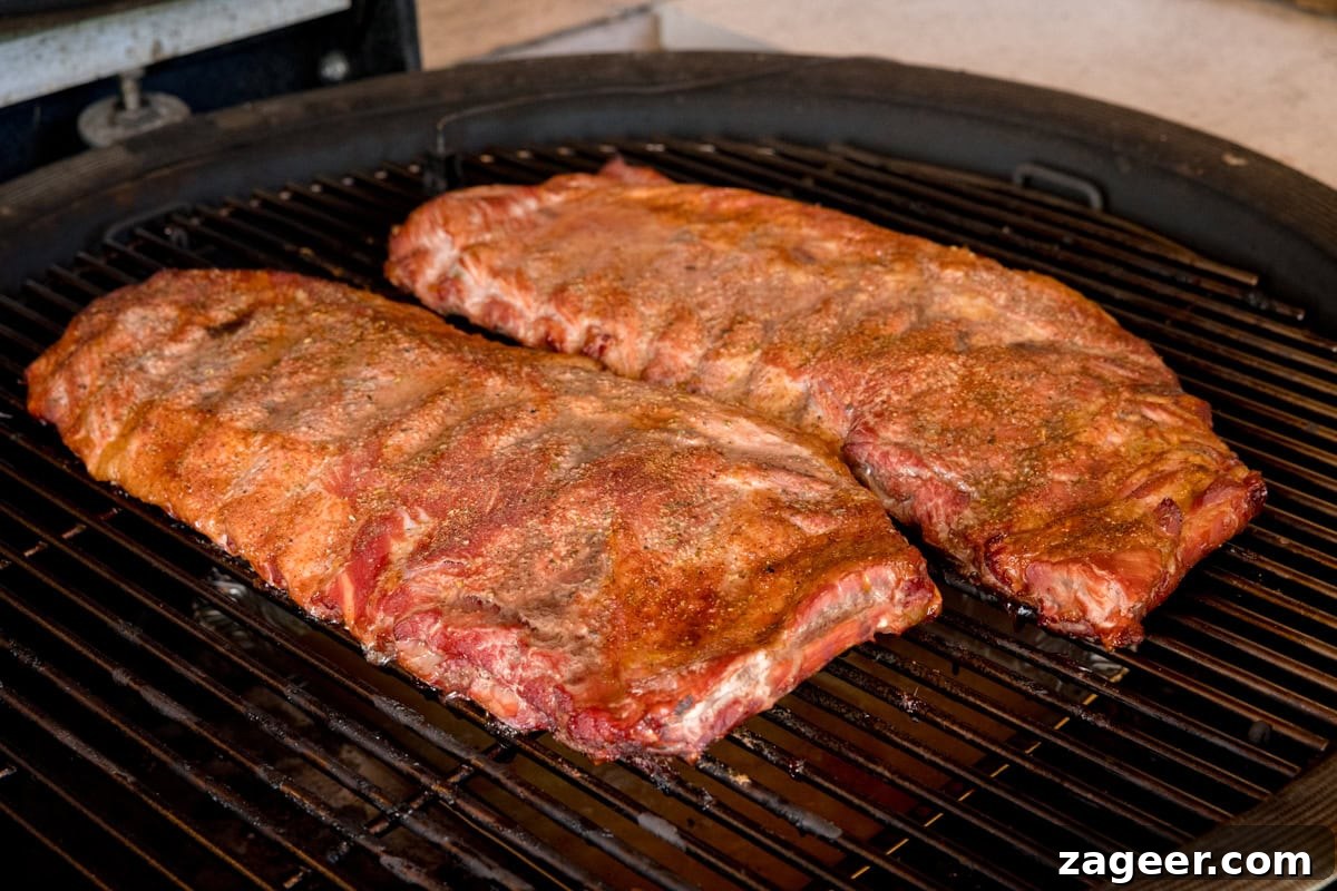 Smoky Dry Rub BBQ Ribs 6 A prep shot of BBQ Dry Rub Ribs. Two racks of smoked and seasoned ribs are laid out on a black barbecue, heated to 120 degrees Celsius. The ribs have taken on a slightly more golden hue, indicating they have absorbed some smoke flavor.