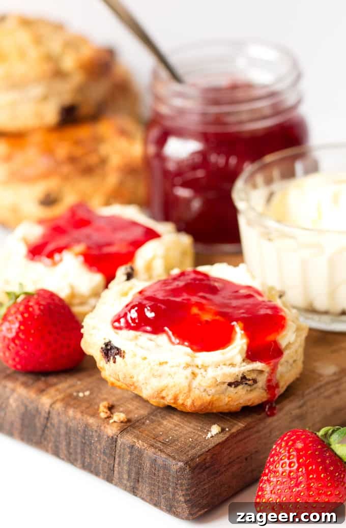 Light and fluffy buttermilk scones with raisins - so good served with clotted cream and jam!