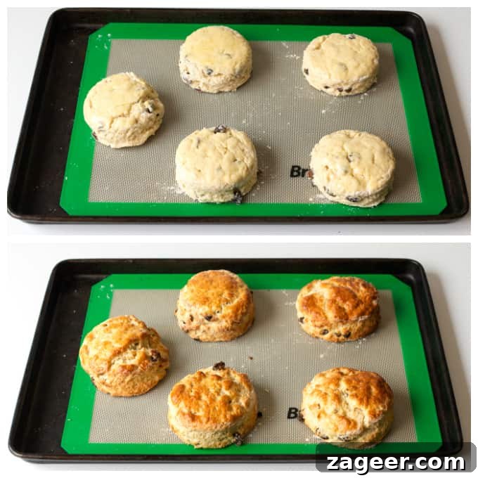 Light and fluffy buttermilk scones with raisins - so good served with clotted cream and jam!