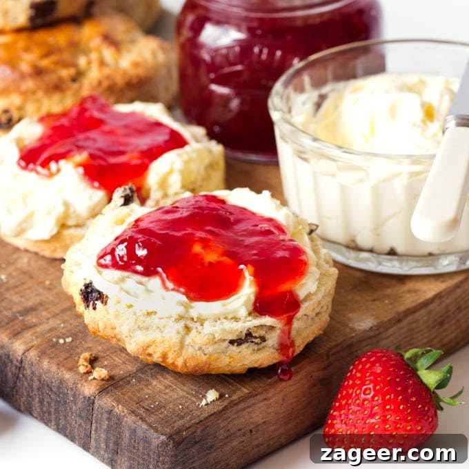Light and fluffy buttermilk scones with raisins - so good served with clotted cream and jam!