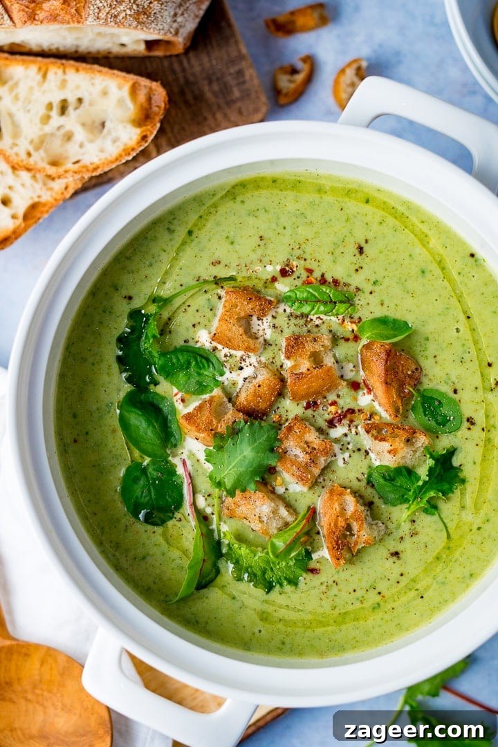 Velvety Broccoli Cream 6 Large pot of creamy broccoli soup topped with golden croutons and fresh baby salad leaves, ready for serving